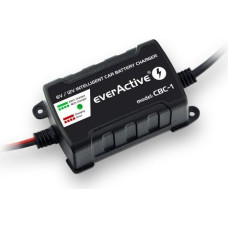 Everactive Automatic battery charger 6V/12V 1A (4995726)