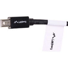 Lanberg Adapter Lanberg AD-0003-BK (Mini DisplayPort M - DisplayPort F; 0,10m; kolor czarny)
