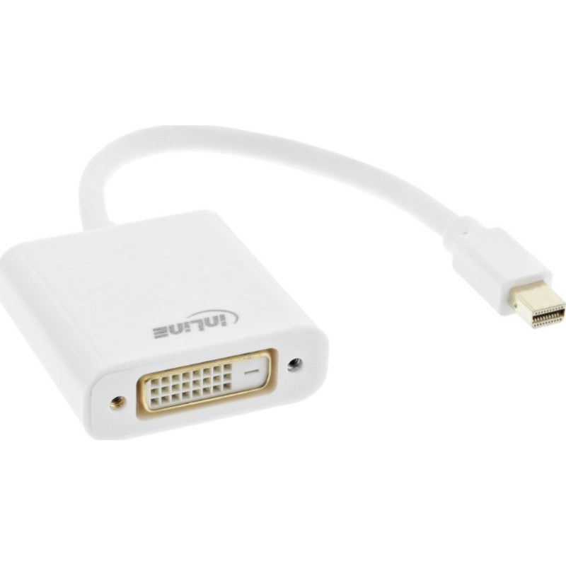 Adapter AV Inline DisplayPort Mini - DVI-D biały (17194K)