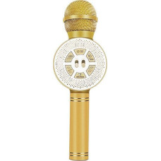 Vega Gold Karaoke Microphone