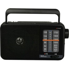 Dartel Radio RD-15