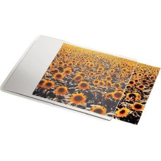 Esselte Transparent pad (67691)