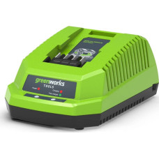 Greenworks VDE approved charger, 40V, 2A (GR2932507)