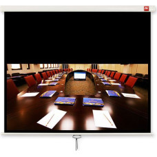 Avtek Cinema 200 projector screen
