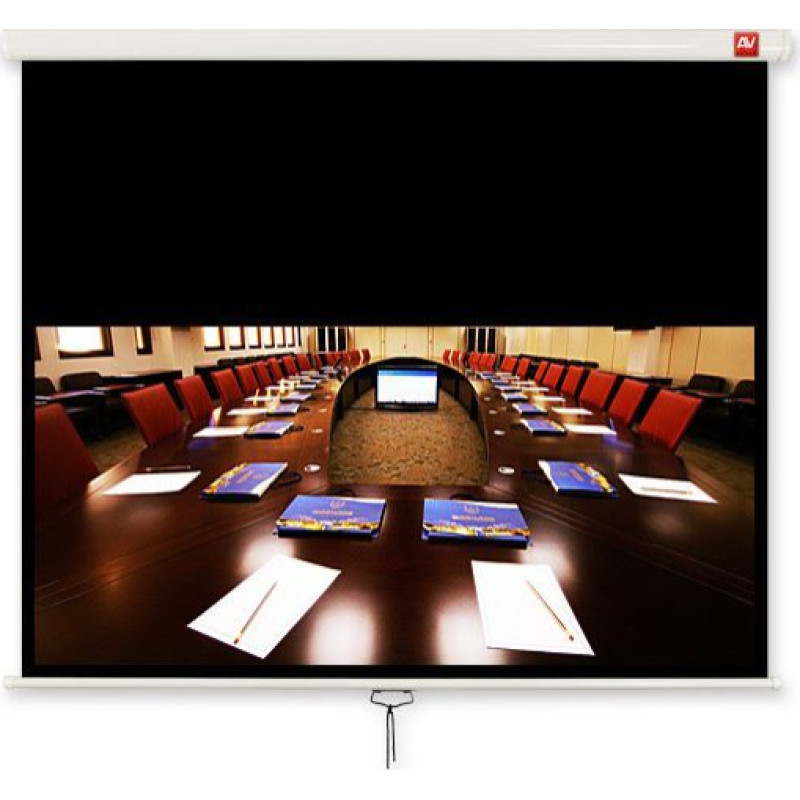 Avtek Cinema 200 projector screen