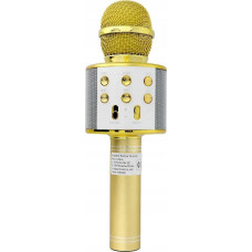OEM Microphone Multimedia karaoke microphone CR58S HQ gold