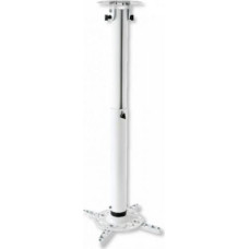 Techly Projector mount (022267)