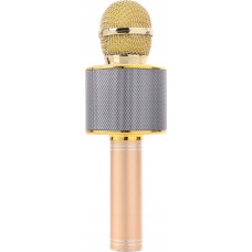 Noname Gold Simple Microphone (Q17B2)