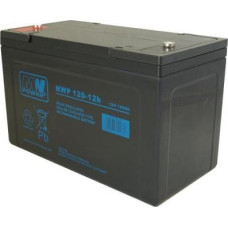 Mw Power 12V/120Ah battery (MWP120-12H)