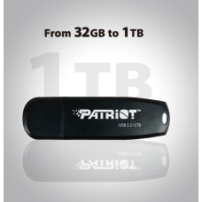 Patriot Core 1B Type A USB 3.2 80MB/s flash drive black