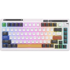 Royal Kludge KZZI K75 pro RGB Wireless Mechanical Keyboard, Moment Switch (black and white)