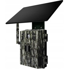 Tophunt H6 Tree grain photo trap
