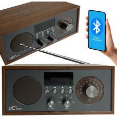 LTC Portable radio Brda FM/BT/USB akum.2200mAh,10W,phone induction charging,brown/graphite
