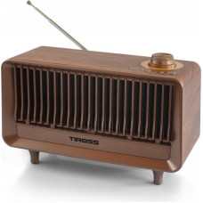 Astar Modern vintage style radio Tiross TS-464