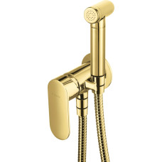 Deante Alpinia bidet mixer concealed gold (BGA Z34M)