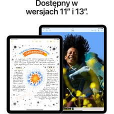 Apple Tablet Apple iPad Air 13