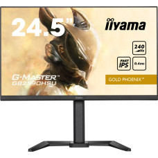 Iiyama Monitor iiyama G-Master GB2590HSU-B5 Gold Phoenix