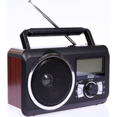 Dartel RD-20 radio