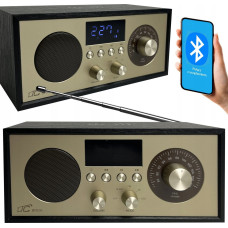 LTC Portable radio Brda FM/BT/USB akum.2200mAh,10W,phone induction charging,black-gold