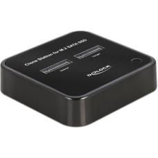 Delock - SSD-Dockingstation Schachte: 2 - M.2 - M.2 Card - USB-C 3.2 (Gen 2) - Schwarz
