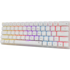 White Shark Wakizashi-2 white US red switch