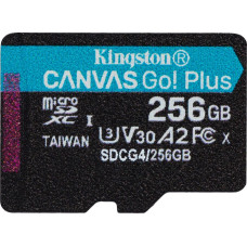 PNY Kingston Technology Canvas Go! Plus 256 GB MicroSD UHS-I Class 10