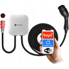 Defenzo Wallbox Home AC11 Smart