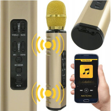 Remax NN KM6 karaoke microphone Bluetooth wireless speaker