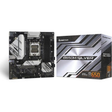 Biostar Motherboard B650M-SILVER