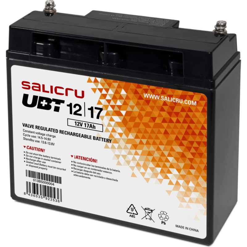 Salicru Zasilacz awaryjny UPS Interaktywny Salicru 013BS000004 12 V