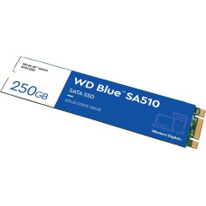 WD Blue SA510 250GB M.2 2280 SATA III SSD ( S250G3B0B)