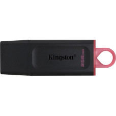 Kingston DataTraveler Exodia flash drive, 256GB (DTX/256GB)